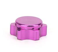 POENVFPO 4pcs Aluminium Alloy RC Car Hub Nut Covers, Multi Color Optional, with High Simulation Performance, for Xray AGAMA LOSI HB AE Team C HSP ZD TEKNO Models (Purple)