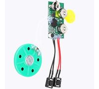 POENVFPO 60s Greeting Card Module, Recordable Voice Module, for DIY Greeting Card Music Sound Talk Chip Musical Audio Radio Recorder (Loop play)