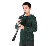 POENVFPO Descending B Tone Clarinet, Bakelite Material, 17 Keys for Beginners, Woodwind Instrument for Band and Orchestra