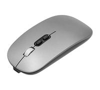 POENVFPO Dual Wireless Optical Mode How to Load the Mouse to Play the Office with 1600 PPI Resolution for the Desktop and Laptop Computer ABS Material (#3)