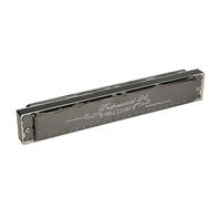 POENVFPO Harmonica, Professional 24 Hole Diatonic Key of D or D#, 1.2mm Brass Base Plate with ABS Resin Comb, Phosphor Bronze Reeds for Loud Full Sound (Key)