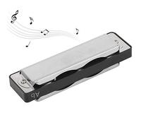 POENVFPO Professional 10-Hole Harmonica, Brass and ABS Resin Construction, Blues Instrument for Beginners and Advanced Players, Lightweight Compact Design (Black)