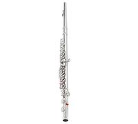 POENVFPO Professional Silver Sterling Flute with Sheep Casing Cushion, 67cm High-Speed Steel, Divided E Key, Lightweight Design for School Band, Beginners