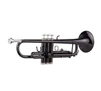 POENVFPO Student Bb Trumpet with Hard Case, Brass Body, Black Pearl Finish, Beginner Friendly Instrument, Includes Mouthpiece and Polishing Cloth