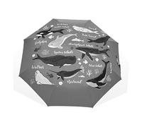 Poeticcity Marine Dolphin Killer Whale Narwhal Walrus Ocean Undersea Water Rain Travel Umbrella, Hand Open Close Windproof Waterproof Folding Umbrella, Compact Canopy Strong Ray Parasol Umbrella