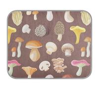 Poeticcity Soft Cooling Dog Mat, Ice Silk Pet Crate Pad with 3D Mesh, Washable Mattress Cushion Anti Slip Kennel 23.6x38.6 in Natural Fungus Organic Food on Brown