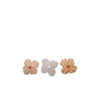Poetry Magnets Set of 3 Multicolored