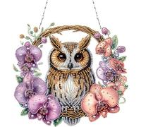 POETRYDRAW Owl Acrylic 2D Flat DIY Set Diamond Art Pendant Wall Decor