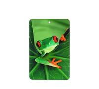 Poezjzw 4pcs Cute Frog Pattern Lavender Scent Car Aroma Rectangle Hanging Fragrance Applies To Closet Shoe