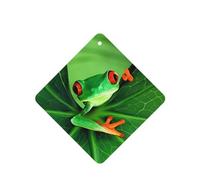 Poezjzw 4pcs Cute Frog Pattern Lavender Scent Car Aroma Square Hanging Fragrance Applies To Closet Shoe
