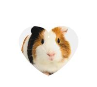 Poezjzw 4pcs Cute Guinea Pig Pattern Lavender Scent Car Aroma Heart Shape Hanging Fragrance Applies To Closet Shoe