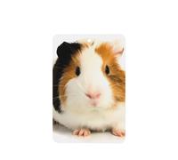 Poezjzw 4pcs Cute Guinea Pig Pattern Lavender Scent Car Aroma Rectangle Hanging Fragrance Applies To Closet Shoe