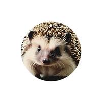 Poezjzw 4pcs Cute Hedgehog Pattern Lavender Scent Car Aroma Round Shape Hanging Fragrance Applies To Closet Shoe