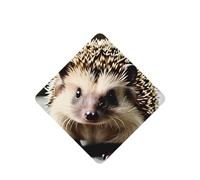 Poezjzw 4pcs Cute Hedgehog Pattern Lavender Scent Car Aroma Square Hanging Fragrance Applies To Closet Shoe
