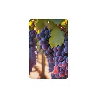 Poezjzw 4pcs Desert Grapes Pattern Lavender Scent Car Aroma Rectangle Hanging Fragrance Applies To Closet Shoe