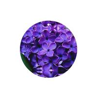 Poezjzw 4pcs Purple Floral Pattern Lavender Scent Car Aroma Round Shape Hanging Fragrance Applies To Closet Shoe