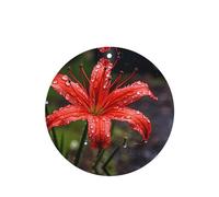 Poezjzw 4pcs Red Lilies In Bloom Pattern Lavender Scent Car Aroma Round Shape Hanging Fragrance Applies To Closet Shoe