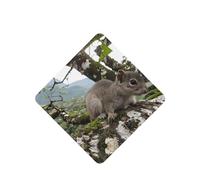Poezjzw 4pcs Squirrel In Ancient Tree Pattern Lavender Scent Car Aroma Square Hanging Fragrance Applies To Closet Shoe