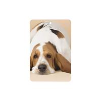 Poezjzw 6pcs Basset Hound Pattern Lavender Scent Car Aroma Rectangle Hanging Fragrance Applies To Closet Shoe