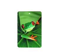 Poezjzw 6pcs Cute Frog Pattern Lavender Scent Car Aroma Rectangle Hanging Fragrance Applies To Closet Shoe