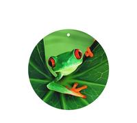 Poezjzw 6pcs Cute Frog Pattern Lavender Scent Car Aroma Round Shape Hanging Fragrance Applies To Closet Shoe