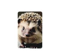 Poezjzw 6pcs Cute Hedgehog Pattern Lavender Scent Car Aroma Rectangle Hanging Fragrance Applies To Closet Shoe