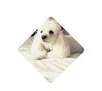 Poezjzw 6pcs French Poodle Pattern Lavender Scent Car Aroma Square Hanging Fragrance Applies To Closet Shoe