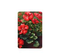 Poezjzw 6pcs Red Geraniums Pattern Lavender Scent Car Aroma Rectangle Hanging Fragrance Applies To Closet Shoe