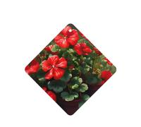 Poezjzw 6pcs Red Geraniums Pattern Lavender Scent Car Aroma Square Hanging Fragrance Applies To Closet Shoe