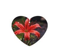 Poezjzw 6pcs Red Lilies In Bloom Pattern Lavender Scent Car Aroma Heart Shape Hanging Fragrance Applies To Closet Shoe