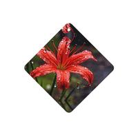 Poezjzw 6pcs Red Lilies In Bloom Pattern Lavender Scent Car Aroma Square Hanging Fragrance Applies To Closet Shoe
