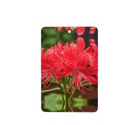 Poezjzw 6pcs Red Spider Lily Pattern Lavender Scent Car Aroma Rectangle Hanging Fragrance Applies To Closet Shoe
