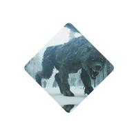 Poezjzw 6pcs Snowy Forest Beasts Pattern Lavender Scent Car Aroma Square Hanging Fragrance Applies To Closet Shoe