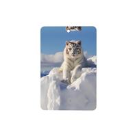 Poezjzw 6pcs Snowy Mountain White Tiger Pattern Lavender Scent Car Aroma Rectangle Hanging Fragrance Applies To Closet Shoe