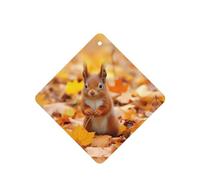 Poezjzw 6pcs Squirrel Foraging For Food Pattern Lavender Scent Car Aroma Square Hanging Fragrance Applies To Closet Shoe