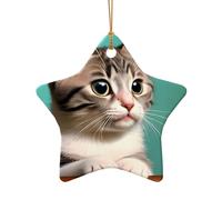 Poezjzw A Curious Cat Pattern Ceramic Christmas Ornament Star Shape Hanging Pendant Gifts For Xmas Holidays, Ornaments For Home Decor