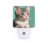 POEZJZW A Curious Cat Pattern Led Night Light Plug Into Wall with Dusk to Dawn Sensors, Warm for Bedroom Bathroom Hallway Kitchen