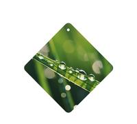 Poezjzw A Drop In The Ocean Pattern Car Air Fresheners 6 Pcs Square Hanging Aromatherapy Tablets Scented Fresheners For Bedroom Closet Shoe