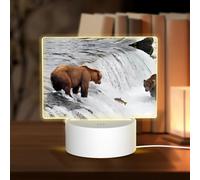 POEZJZW Bears Fishing in River Pattern Led Lamp Base Night Light Acrylic USB 3 Mode for Room Cafe Bar Birthday Party