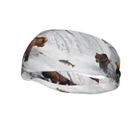Poezjzw Bears Fishing In River Pattern Sports Headband Suitable For Running Yoga Running Cycling Elastic Moisture Band