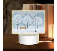 POEZJZW Birds in The Park On A Snowy Day Pattern Rectangular Acrylic Night Light Touch Switch Accent for Bookshelves Desks Nightstands