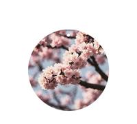 Poezjzw Blooming Cherry Blossoms Pattern Car Air Fresheners 6 Pcs Round Shape Hanging Aromatherapy Tablets Scented Fresheners For Bedroom Bathroom