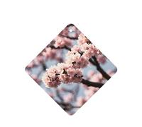 Poezjzw Blooming Cherry Blossoms Pattern Car Air Fresheners 6 Pcs Square Hanging Aromatherapy Tablets Scented Fresheners For Bedroom Bathroom