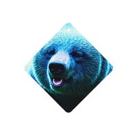 Poezjzw Blue Bear Pattern Car Air Fresheners 6 Pcs Square Hanging Aromatherapy Tablets Scented Fresheners For Bedroom Bathroom