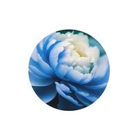 Poezjzw Blue Peony Flower Pattern Car Air Fresheners 6 Pcs Round Shape Hanging Aromatherapy Tablets Scented Fresheners For Bedroom Bathroom