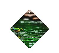 Poezjzw Bluebird Playing In Water Pattern Car Air Fresheners 6 Pcs Square Hanging Aromatherapy Tablets Scented Fresheners For Bedroom Bathroom