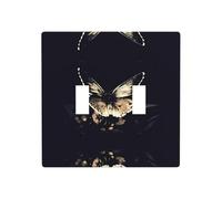 Poezjzw Butterfly Wings Pattern Wall Plate Outlet Cover Decorative Wall Plate Size 4.5X 4.5in Double Toggle Outlet Light Switch Cover