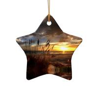 Poezjzw Calm Coastal Scene Pattern Christmas Star Shape Ceramic Ornaments Christmas Tree Hanging Home Decoration Gatherings Souvenirs