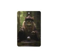 Poezjzw Cat Divination Pattern Car Air Fresheners 4 Pcs Rectangle Hanging Aromatherapy Tablets Scented Fresheners For Bedroom Closet Shoe