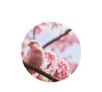 Poezjzw Cherry Blossom And Bird Pattern Car Air Fresheners 4 Pcs Round Shape Hanging Aromatherapy Tablets Scented Fresheners For Bedroom Closet Shoe
